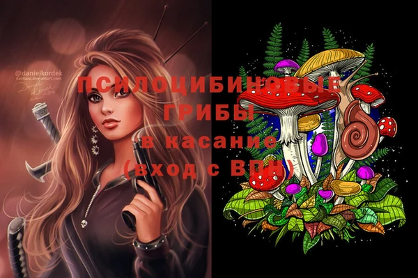 a pvp Аркадак