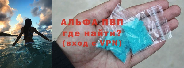 a pvp Аркадак
