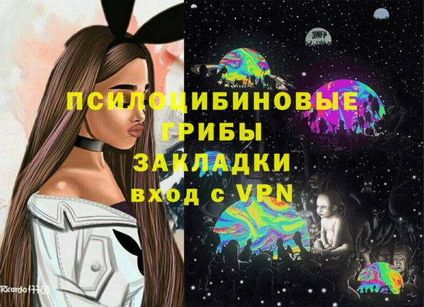 a pvp Аркадак