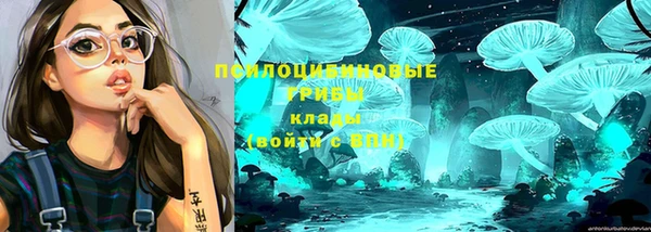 a pvp Аркадак