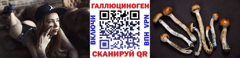 купить  сайты  Чехов  Псилоцибиновые грибы ЛСД 